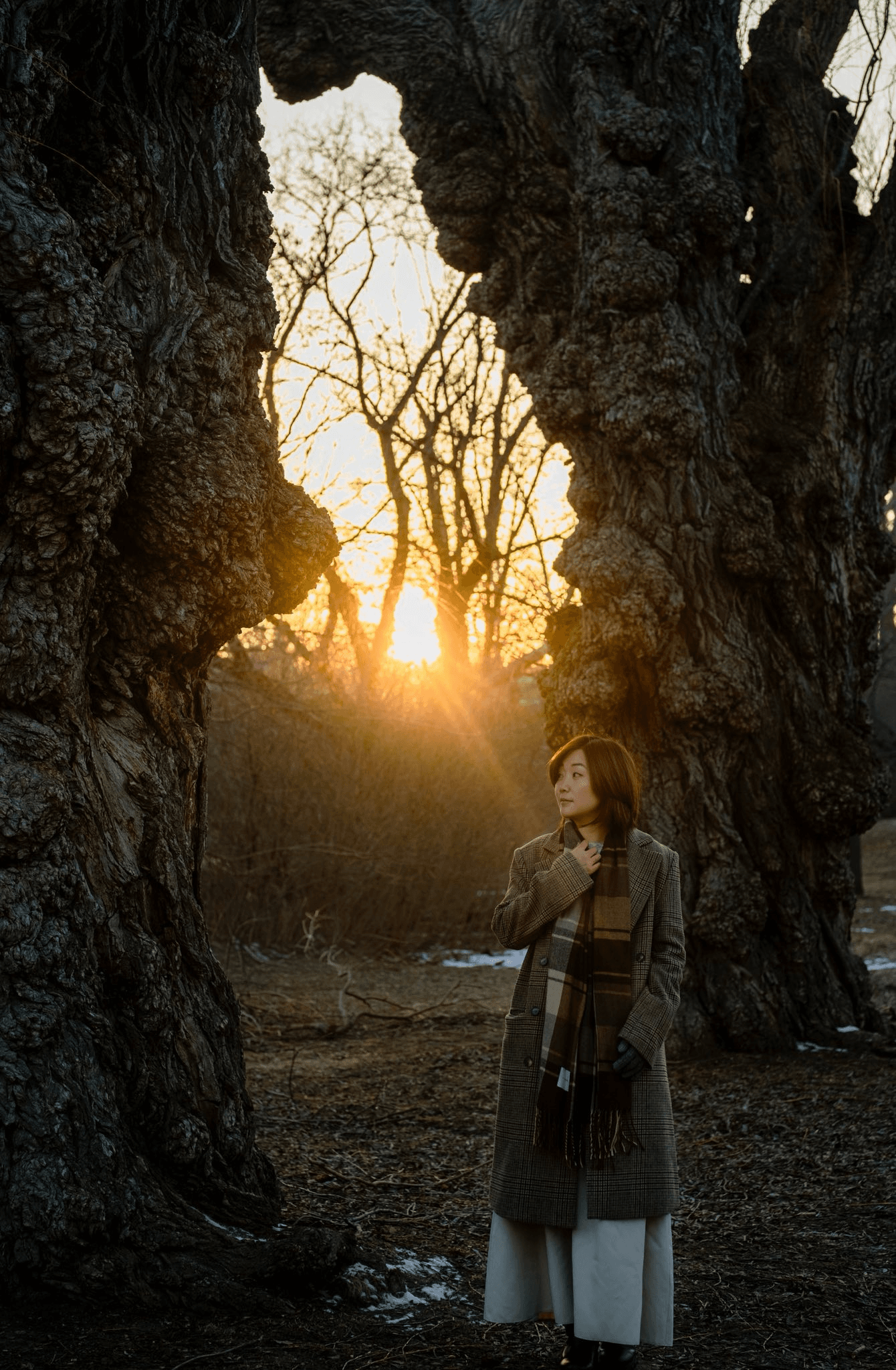 Larah portrait in warm sunset light