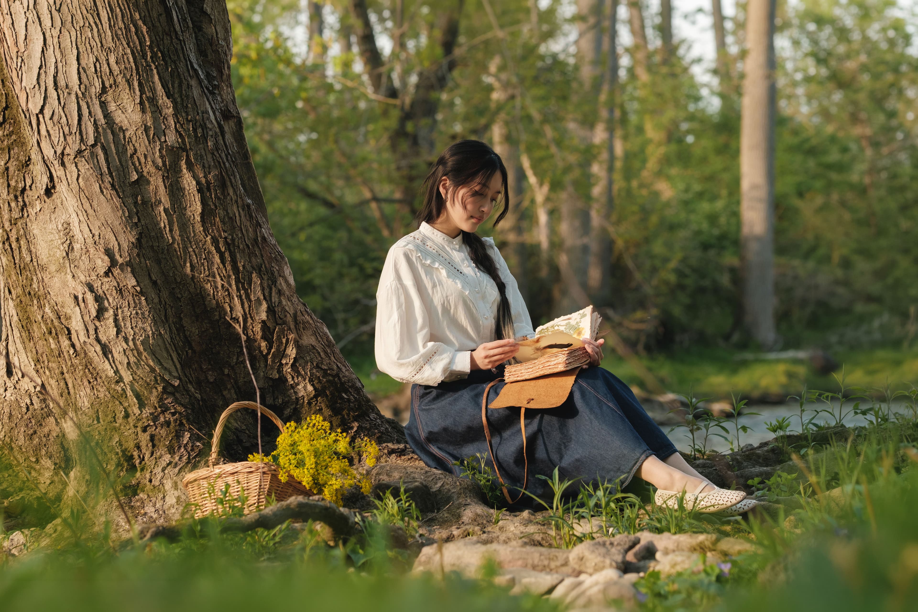 Natural light portrait of a woman reading a handmade botanical journal beneath a large tree at Ross Park, London, Ontario, during golden hour.